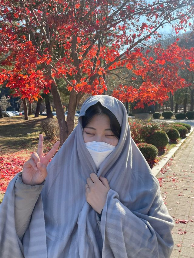 가을하면 뜨는 단풍여행 명소 : 용문사