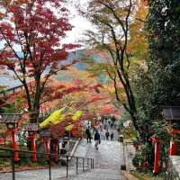 【京都】京都の最強パワースポットで紅葉