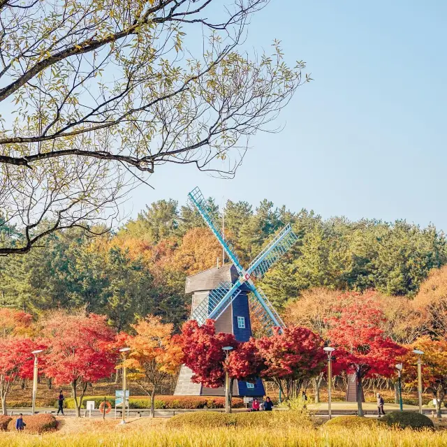 울산 가을 단풍명소 울산대공원