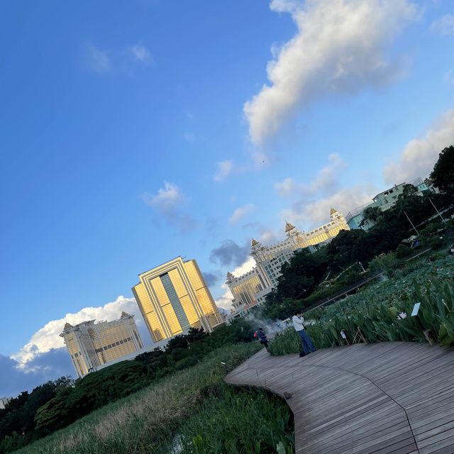 Ecological trail in Avenida da Praia, Taipa