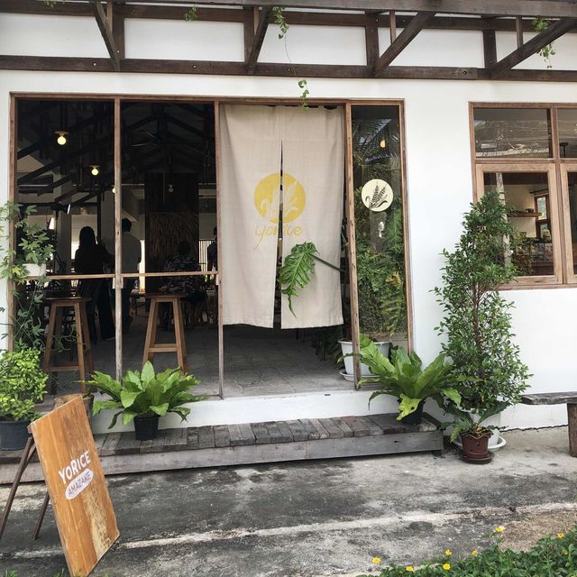 Yorice คาเฟ่สาเกข้าวไทยในเชียงใหม่