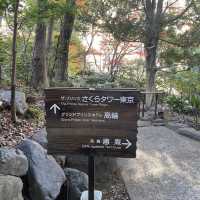 【東京】ザ・プリンスさくらタワーまで紅葉ぶら散歩