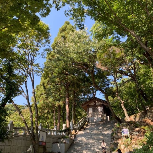 대중교통으로 100대 명산 오르기! 부산 금정산