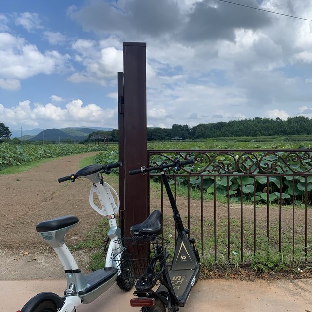 경주 교통수단 추천 