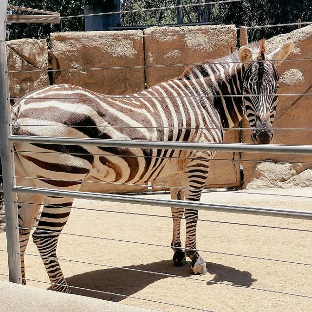 San Diego Zoo