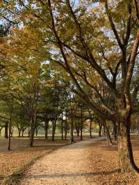 경주 대릉원