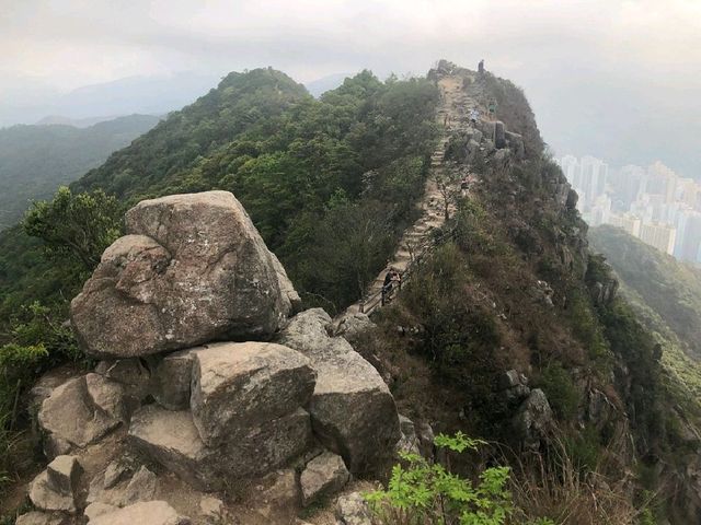 Lion Rock Country Park. 