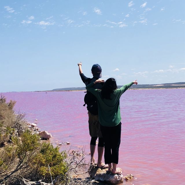 西澳夢幻的粉紅湖Hutt Lagoo