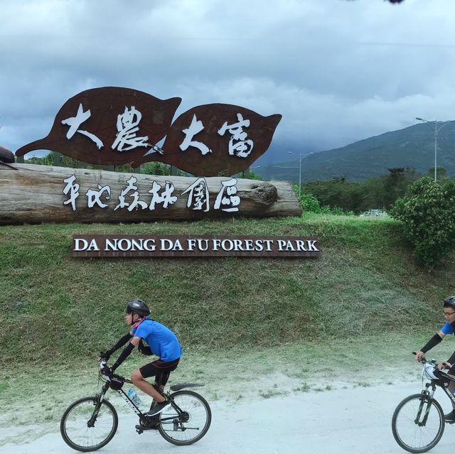 【花蓮‧景點】台灣最長的「森林鐵馬道」-大農大富平地森林園區 
