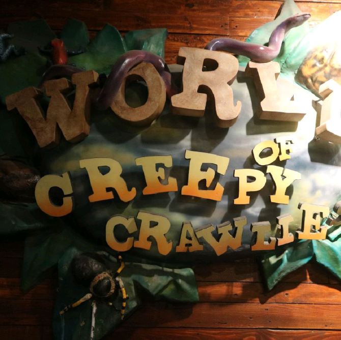 World of the Creepy Crawlies