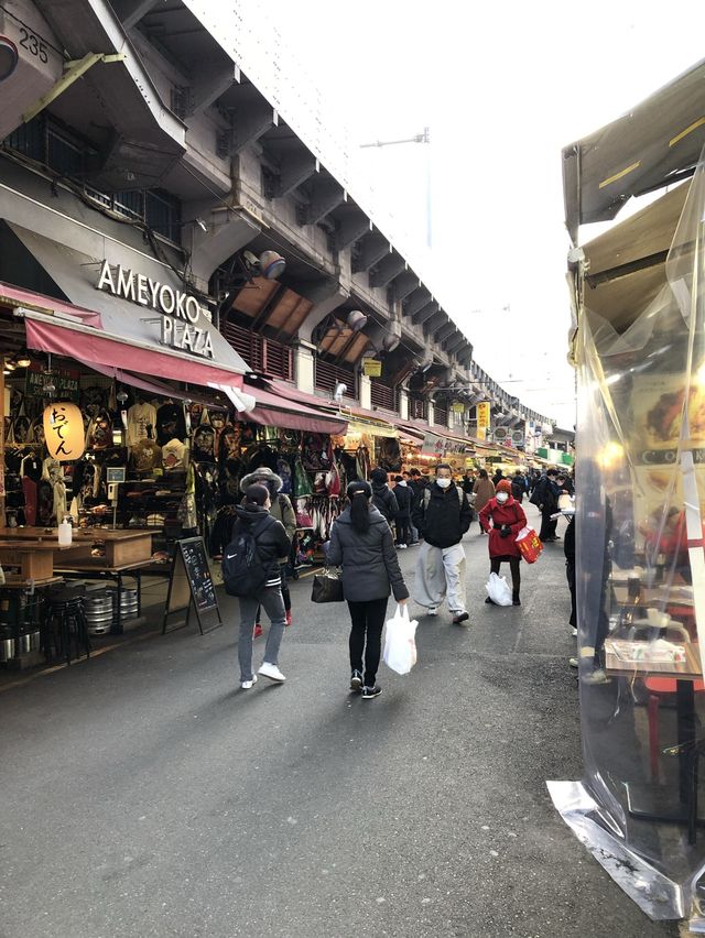 【東京・上野】アメヤ横丁