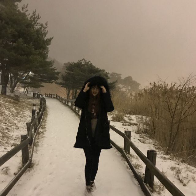 눈꽃세상에서 스키타기 🎿 