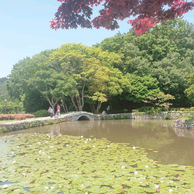 고요한 자연 속 화방에서, 진도 운림산방