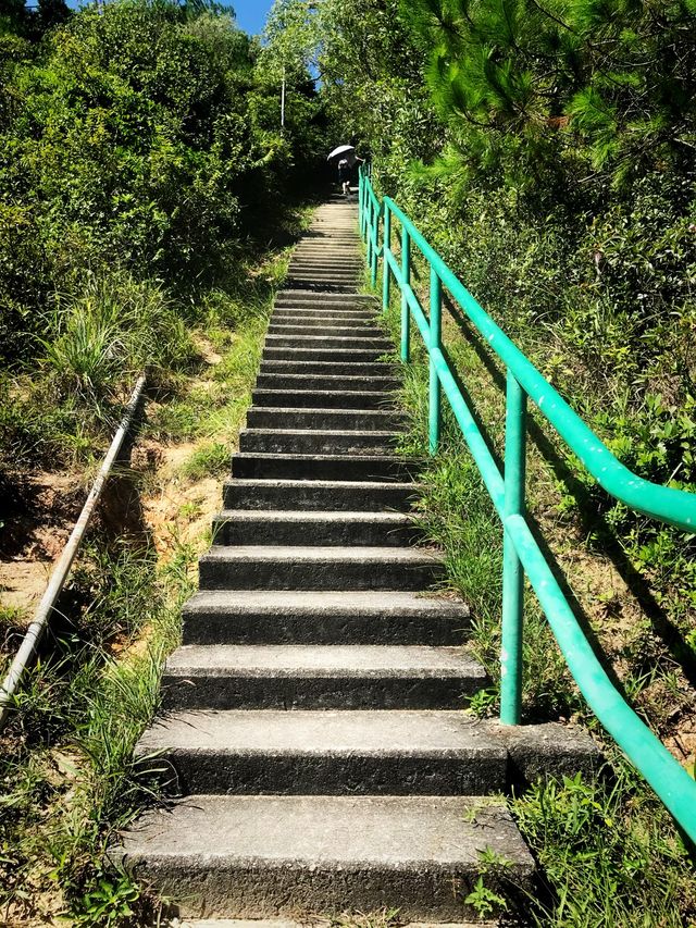 👣行山路線推介：坪洲手指山🧗🏻‍♀️