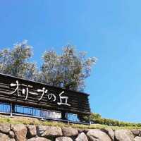 [小豆島]日本のオリーブ発祥の地✨小豆島の「オリーブ公園」