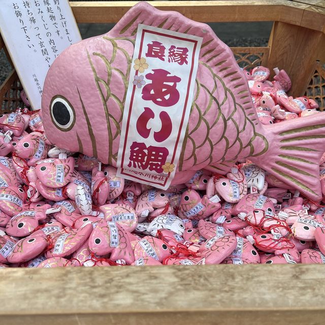 【埼玉】写真映えする！川越氷川神社