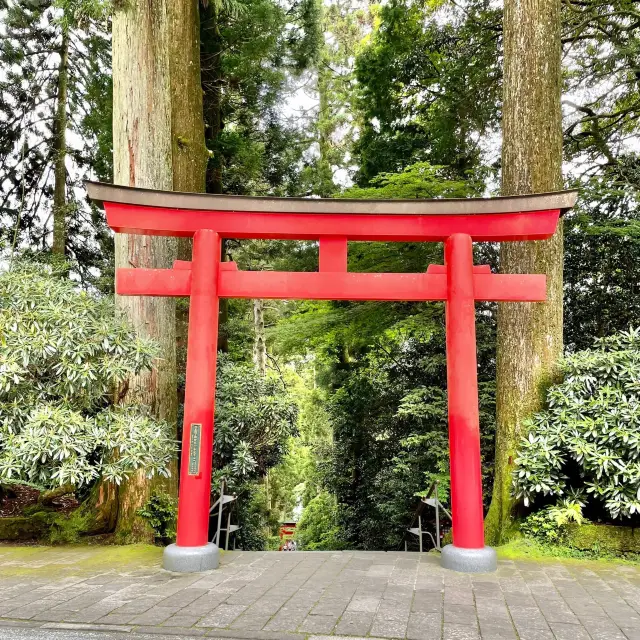 大木に囲まれた神聖な雰囲気の箱根神社