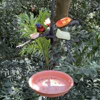 尤德觀鳥園@香港公園