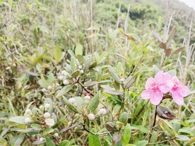 布袋澳