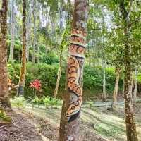 Gaharu Tea Valley @Gopeng Perak