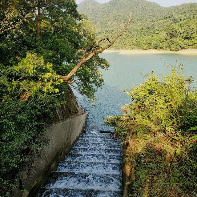 “城門水塘”看山林水塘美景~ 😎