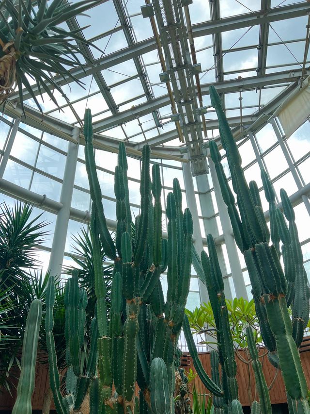 실내에서 즐기기 좋은 부천식물원🌵💚
