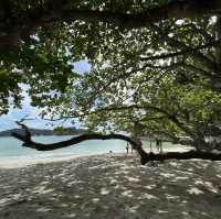 Chill with clear water and beach, Pangkor 