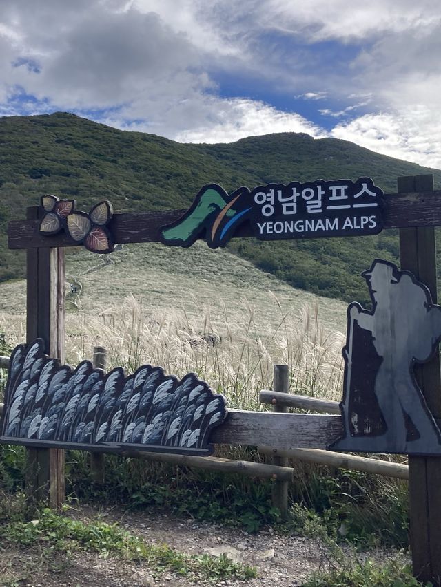 한국에 이런 곳이?!