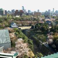 【名古屋】日本三名城！名古屋城をご紹介