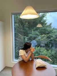 숲 뷰가 예쁜 대형 담양 카페