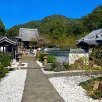德島走進第四番札所 大日寺