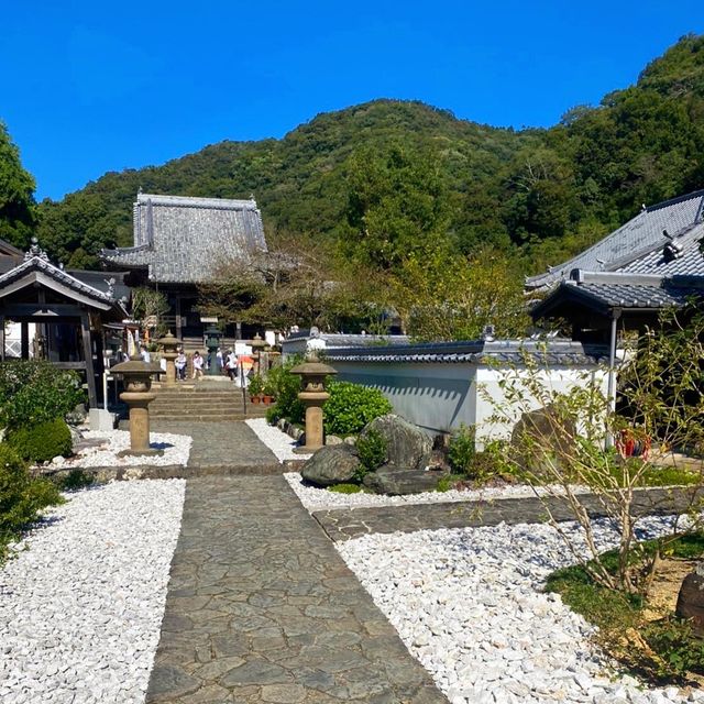 德島走進第四番札所 大日寺