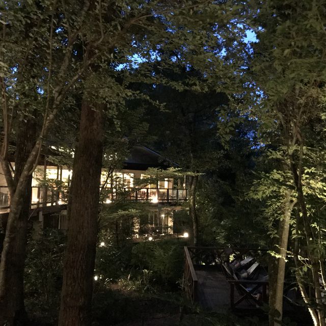 【神奈川県】森林に囲まれた温泉♨️🧖‍♀️おんりーゆー