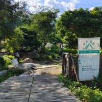 foreste cafe เชียงราย