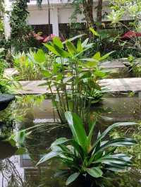 Best tropical garden Hotel Surabaya