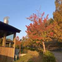 ✨四季の郷公園✨　道の駅
