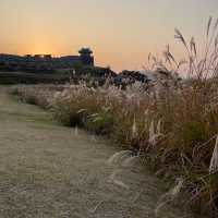 Suwon Hwaseong Fortress 
