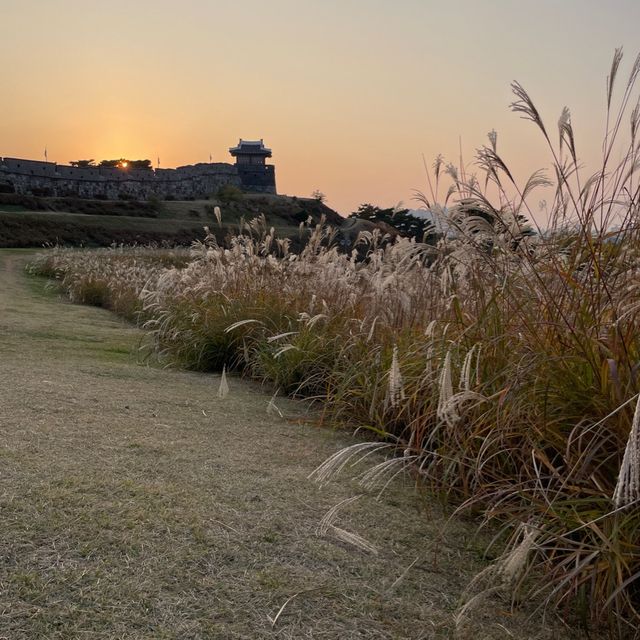Suwon Hwaseong Fortress 