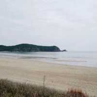 몽산포 오토 캠핑장