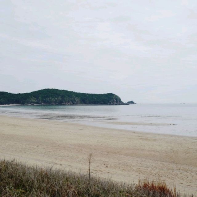 몽산포 오토 캠핑장