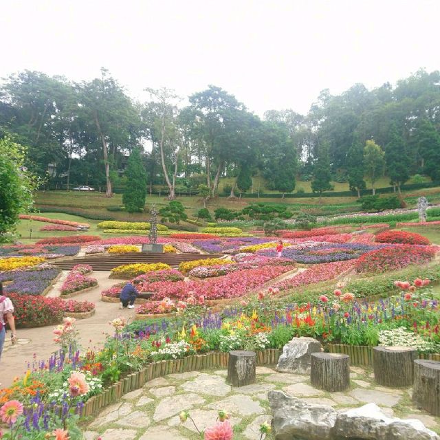 ชมดอกไม้.. ที่สวนแม่ฟ้าหลวง​