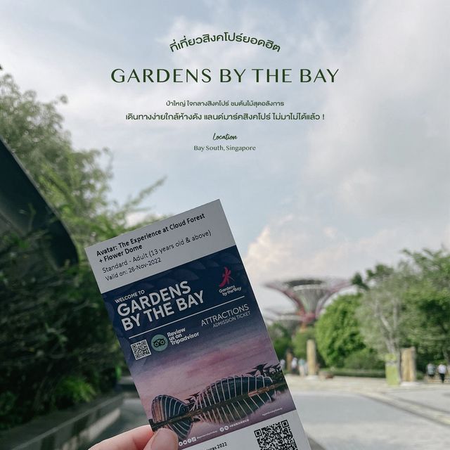Gardens By The Bay - ป่าใหญ่ใจกลางเมือง