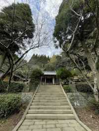 【熊本】天草﨑津諏訪神社