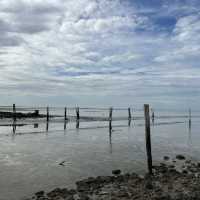 A beautiful view during low tide