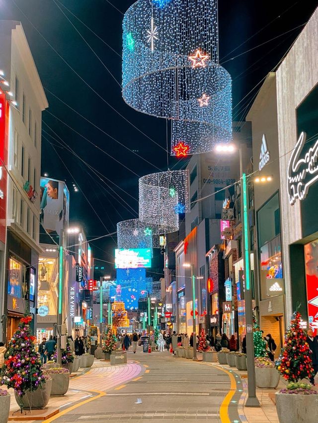 1월까지 만날 수 있는 대왕트리✨