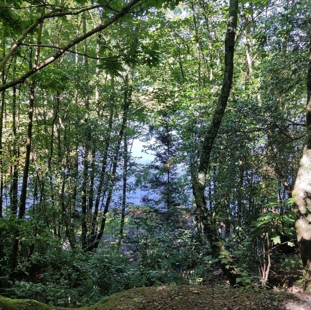 Relaxing walk at Lake Te Koo Utu