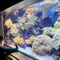 福岡親子遊：去水族館