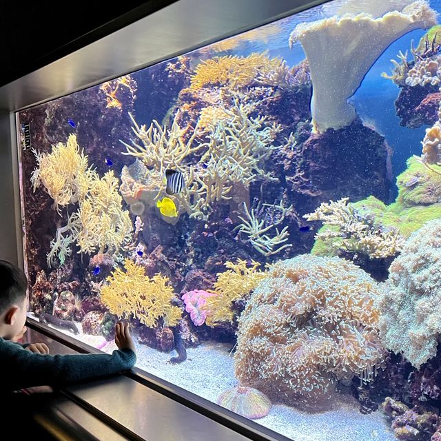 福岡親子遊：去水族館