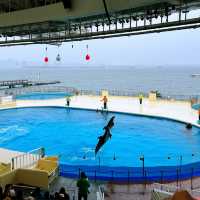 福岡親子遊：去水族館