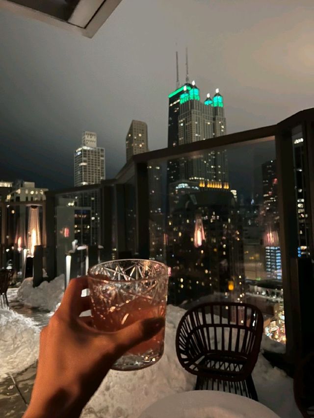 Vicery Chicago, City view🤍✨